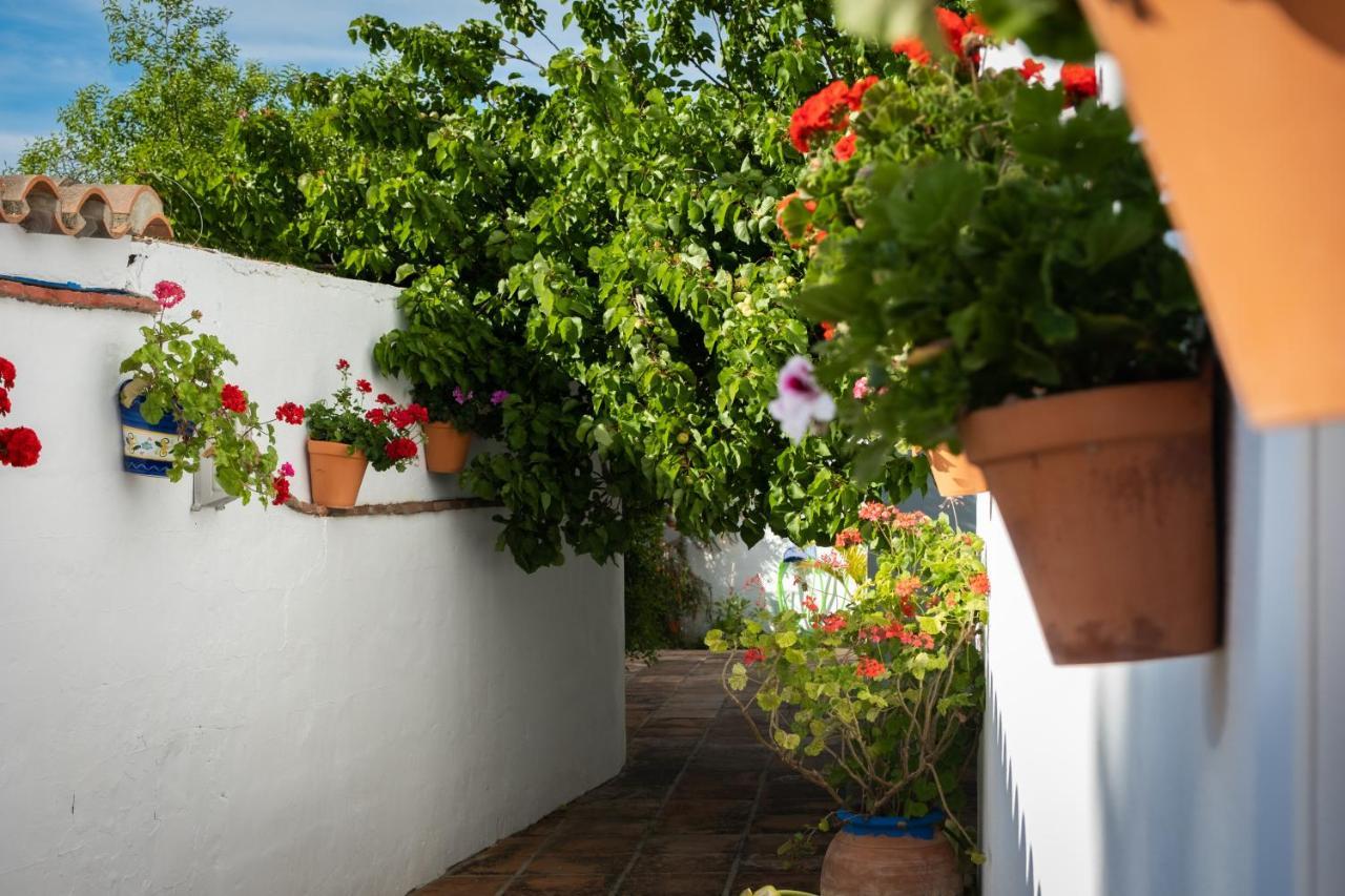 Turisticos Cabo Roche Apartment